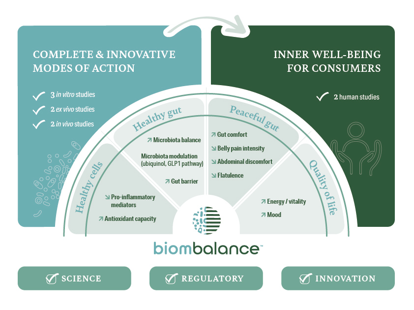 Key Visual Biombalance
