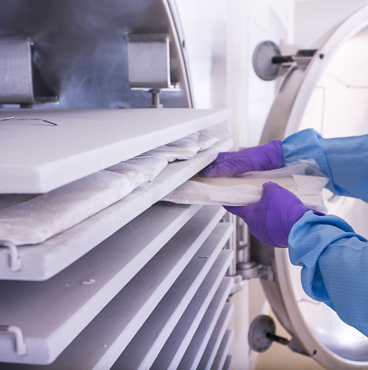 Extraits végétaux en train d'être lyophilisés