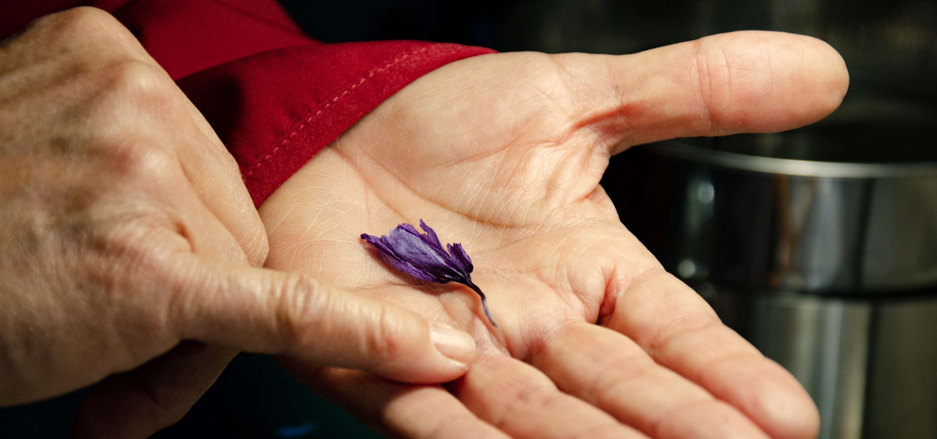 Saffron sourcing