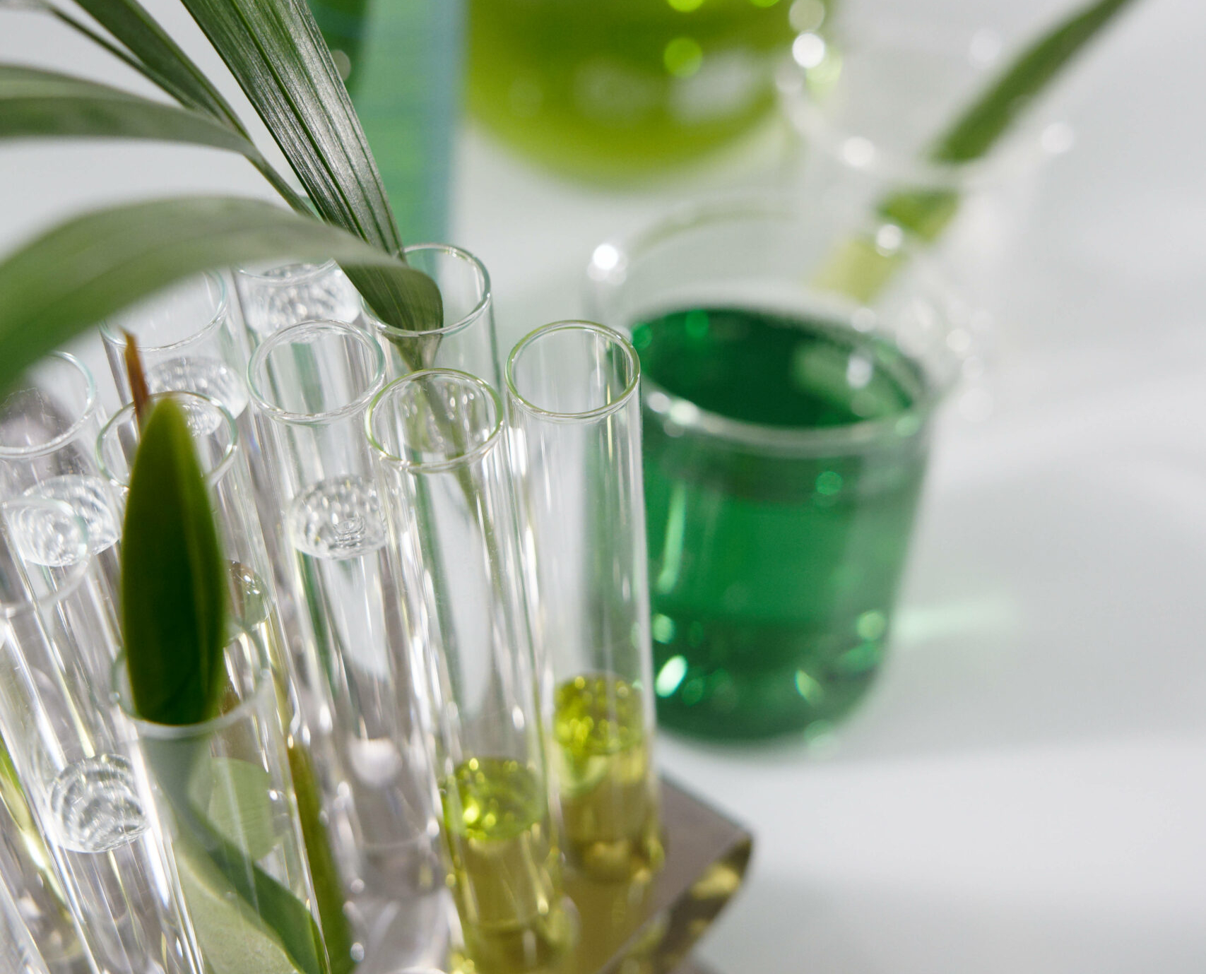 Technologie Phytovec