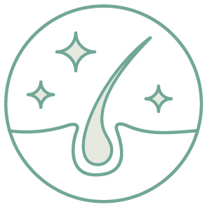 Cheveux et cuir chevelu pictogramme
