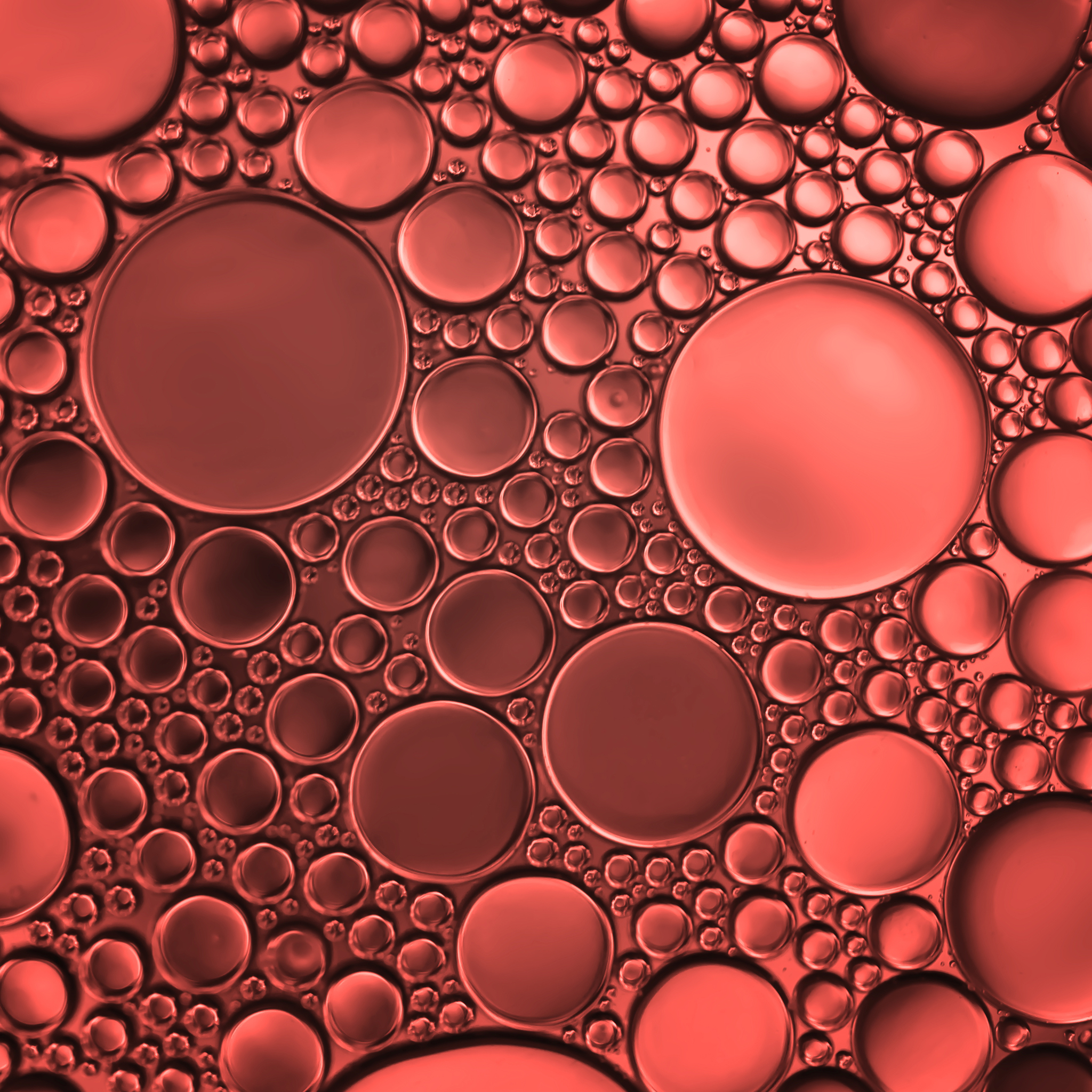 Phytovec_Astaxanthin