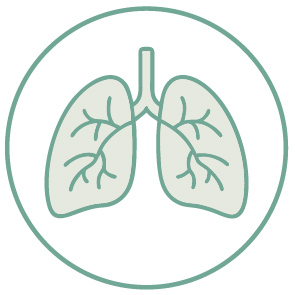 Voies respiratoires pictogramme