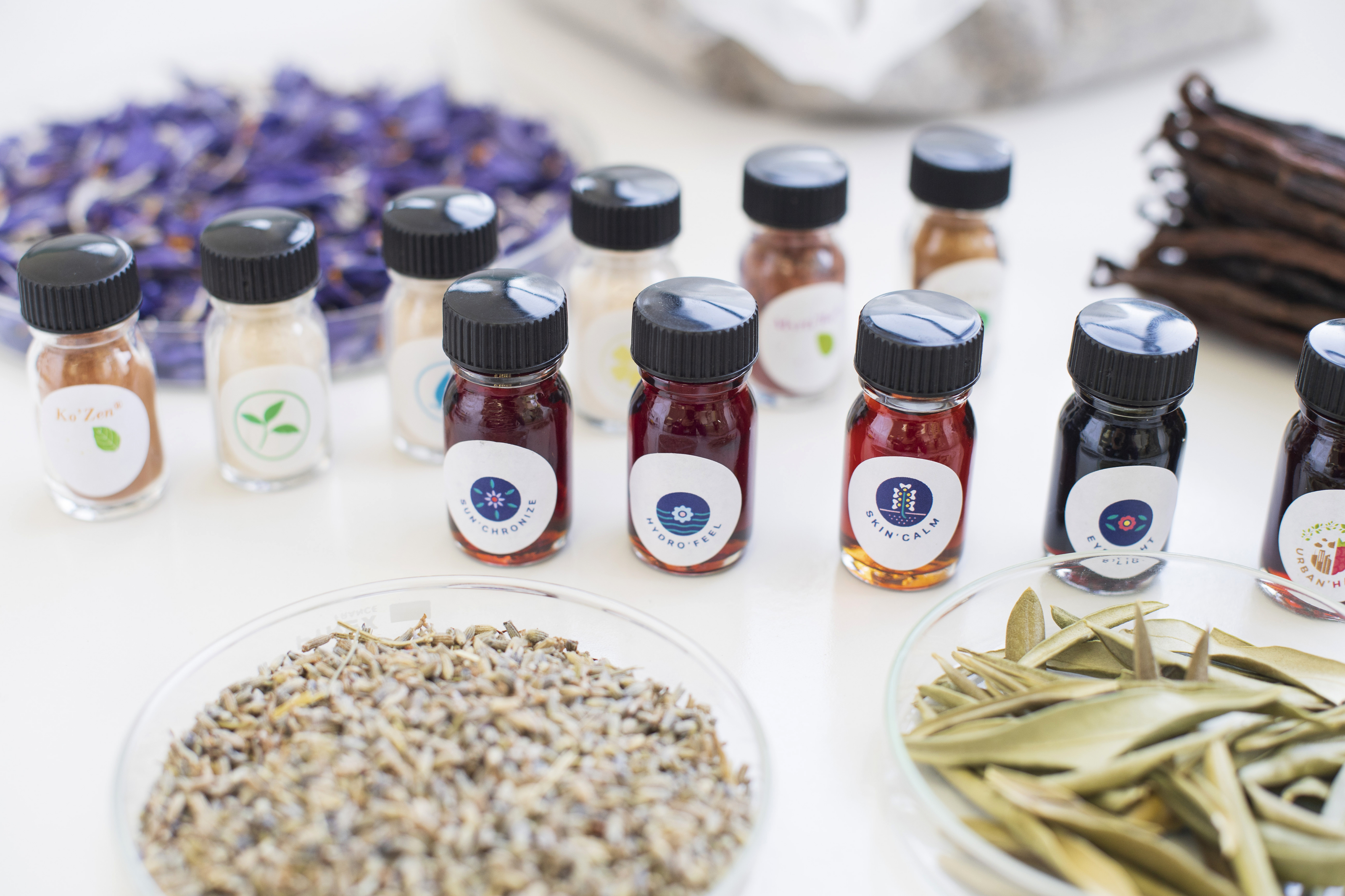 Actifs cosmétiques Berkem